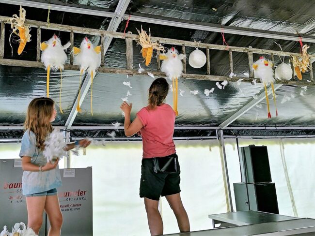 Die Hühner erobern ihr Revier. Das Dekoteam richtet den Hühnerstall für den Musiktag Ruswil ein.